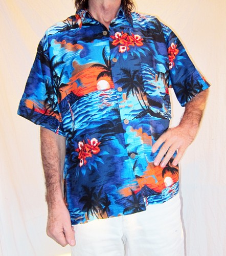 Laut hawaiihemd blau - hawaiihemd, blau/orange